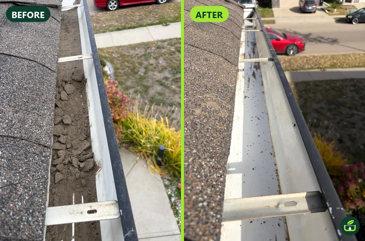 Before and after gutter cleaning: packed solid gutter, then clean and flowing